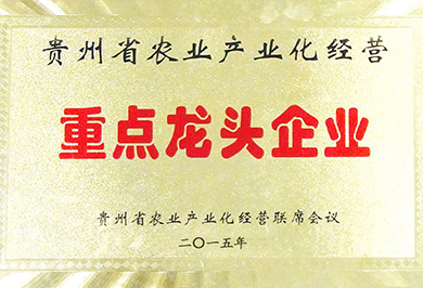 重點(diǎn)龍頭企業(yè)